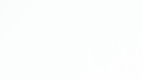 shutterstock_250732693