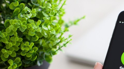 La plataforma cuenta con más de 170 millones de usuarios