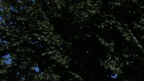 El bombero Gregory Mendoza.