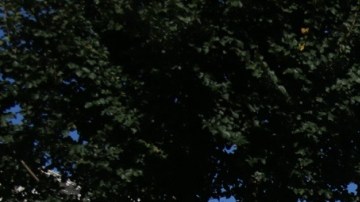 El bombero Gregory Mendoza.