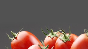 tomates