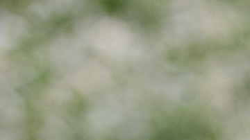 La mayoría de los triciclos no están diseñados para menores de 3 años.