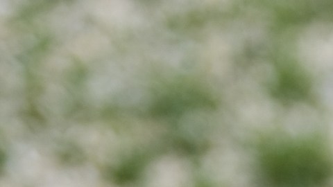 La mayoría de los triciclos no están diseñados para menores de 3 años.