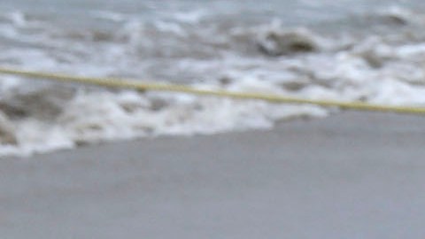 Playa de Santa Monica.