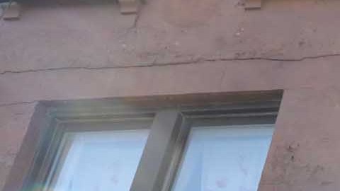 Park Slope, Brooklyn, NYC/Archivo.