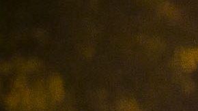 Integrantes de la Marina armada mexicana