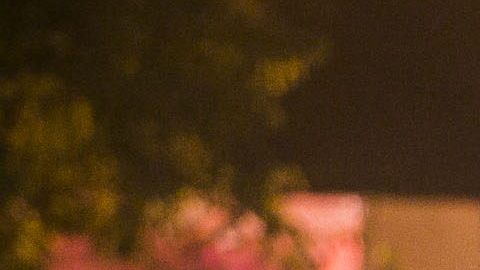 Integrantes de la Marina armada mexicana