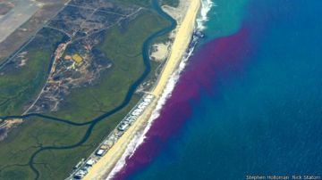 Un grupo de científicos ha decidido teñir de rosa las aguas de varias playas del Sur de California.