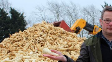 Hugh Fearnley-Whittingstall es chef, periodista y escribe libros sobre comida. A sus espaldas hay una montaña de chirivías para tirar a la basura.