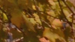 El senador estatal denunció un aumento explosivo en las licencias de licor en el barrio de Inwood.