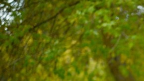 La risa, el buen humor y la buena actitud hacia la vida contribuyen al buen envejecimiento.