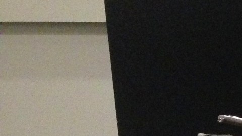 Armas confiscados al residente de Northridge por la Policía de Los Ángeles/ Jorge Morales Almada