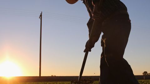 Los campesinos de San Quintín no están contentos con los arreglos laborales.
