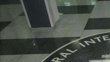 cia tortura
