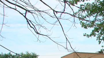 Contenedores que puso Thrift Land USA alrededor de la Ciudad para recolectar donaciones de ropas y venderlas en el exterior.