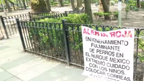 condesa envenenamiento perros