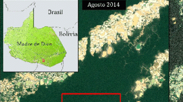 deforestacion amazonia peru
