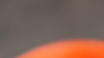 Estudio asegura que la dieta mediterránea puede ayudar a reducir el riesgo de cáncer mamario.