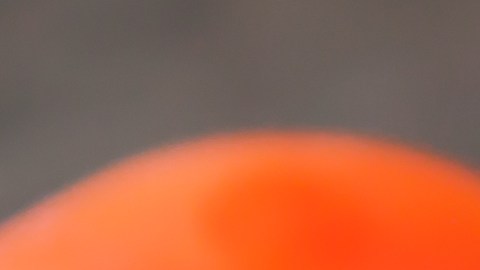 Estudio asegura que la dieta mediterránea puede ayudar a reducir el riesgo de cáncer mamario.