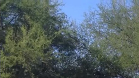 dron fantasma