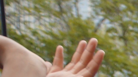 RALLY  TO DEMAND END TO SEPARATE AND UNEQUAL EDUCATION