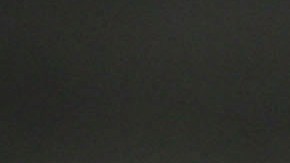 Las peleas de gallos son ilegales en los 50 estados del país.