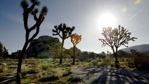 Joshua Tree National Park en California es una es un monumento nacional desde 1936. /Getty Images