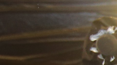 Alex Rodríguez tuvo en la campaña regular varios momentos notables, pero su mayor festejo vino tras la victoria que puso a los Yankees en los playoffs.