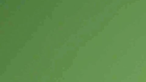 FIFA 2006 World Cup Press Conference Volunteer Program