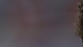 Gio no jugará ante EEUU.