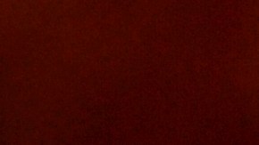 Greek Yogurt Pork Loin