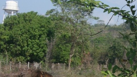 La Arrocera, uno de los parajes donde se han denunciado el mayor número de violaciones sexuales contra indocumentados.