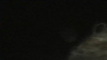 Moreno muestra una fotografía con algunas de las personas a las que apoya actualmente.