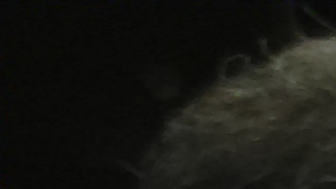 Moreno muestra una fotografía con algunas de las personas a las que apoya actualmente.