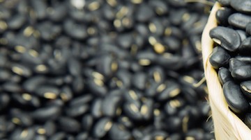 frijoles