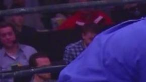 Colón fue derribado dos veces en el octavo asalto por Williams.