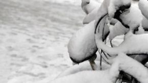 refugiados siria_bicycles_snow_624x351_getty_