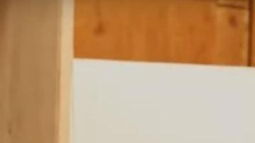 Stallone, orgulloso de sus artículos de colección.