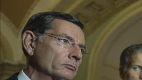 senado ciberseguridad