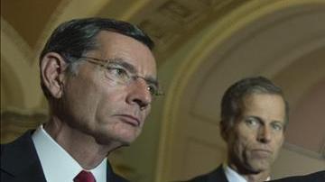 senado ciberseguridad