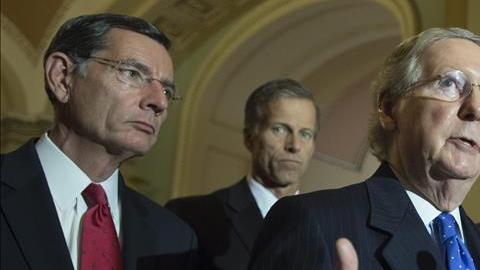 senado ciberseguridad