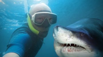 selfie tiburon