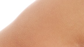 shutterstock_77319655