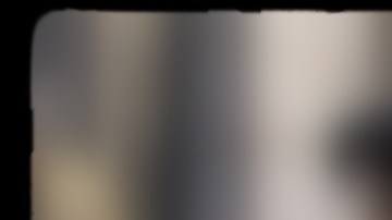 Street Dogs Of Athens