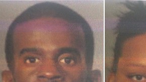 traficantes armas nyc