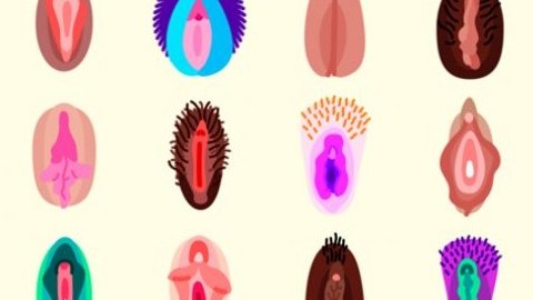 Algunos de los emojis en forma de vagina, creados por Flirtmoji.