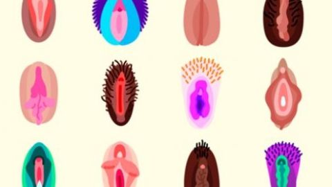 Algunos de los emojis en forma de vagina, creados por Flirtmoji.