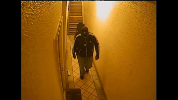 En el video de seguridad del edificio se ve cómo entran tres hombres pretendiendo ser policías parar robar.