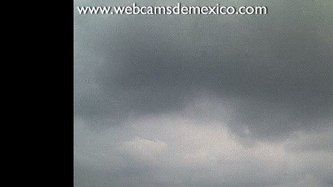 Hay un total de 25 cámaras en vivo.
