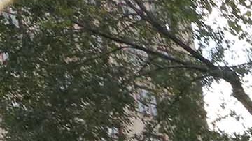 NYPD en Union Square/Archivo.